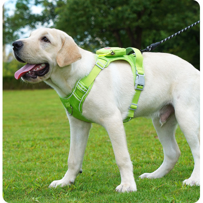 Reflective harness for medium to giant dogs, main product photo