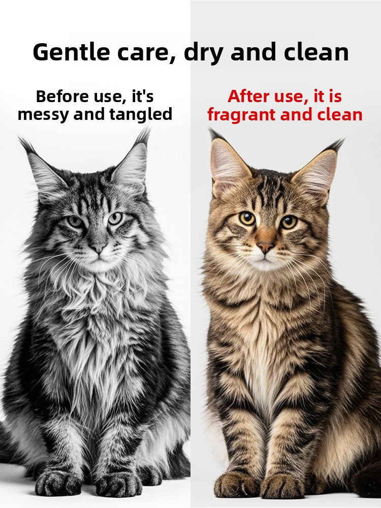 Disposable Pre-Moistened Pet Cleaning Gloves for Cats and Dogs