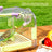 Clear portable bird travel cage with purple trim, view 2