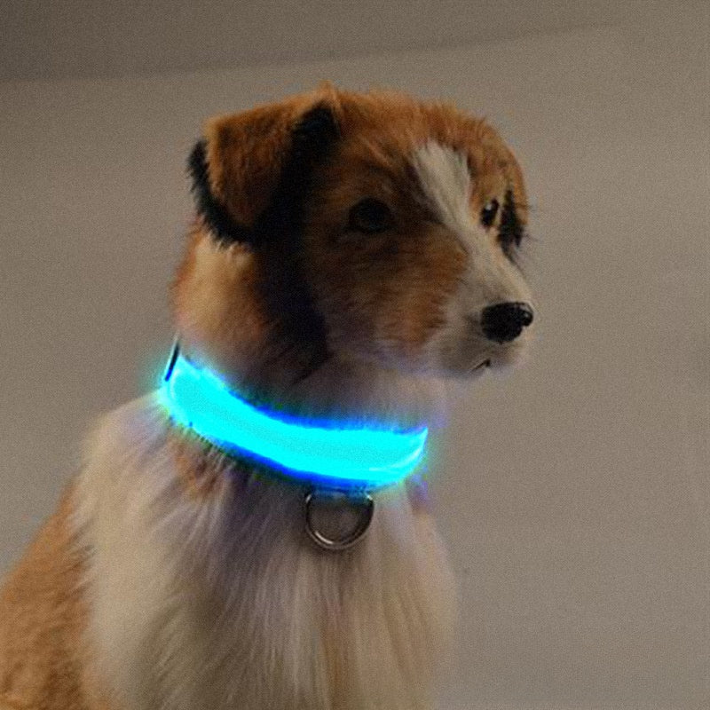 USB rechargeable LED mesh dog collar glowing blue at night