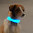 USB rechargeable LED mesh dog collar glowing blue at night