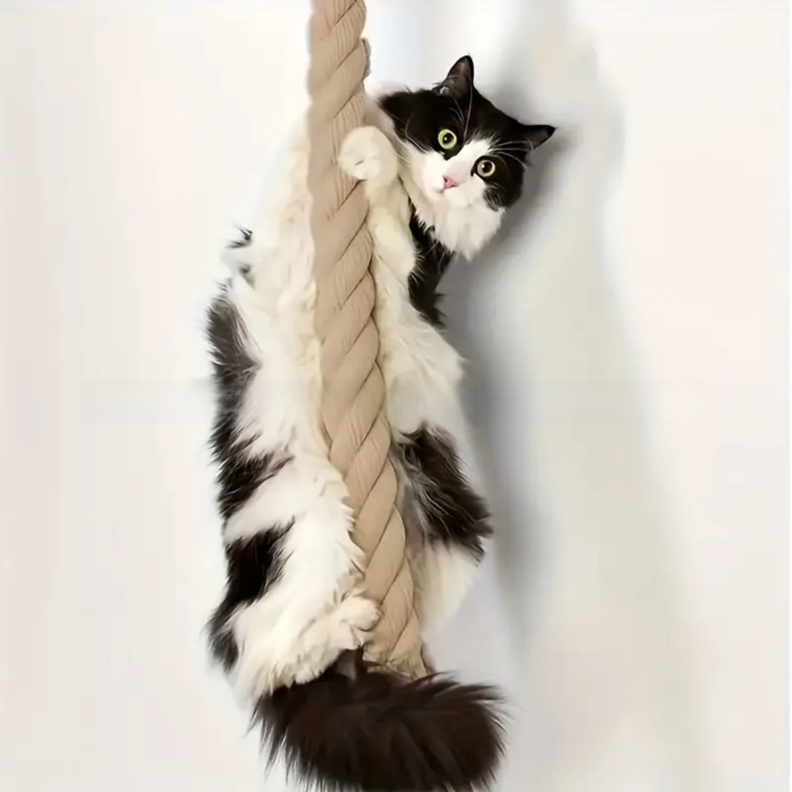 Floor-to-ceiling cat climbing pole with rope, detail photo 5