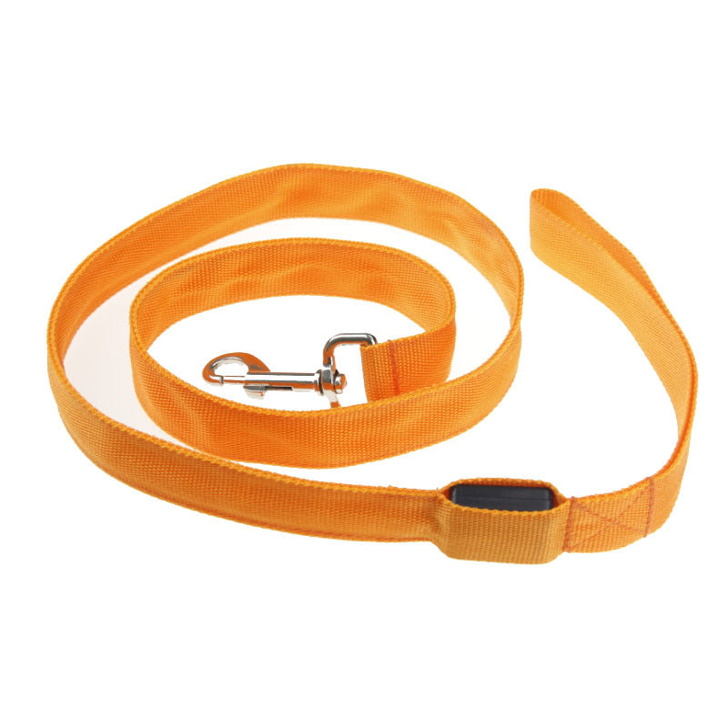 Light up nylon dog leads in eight glowing colours