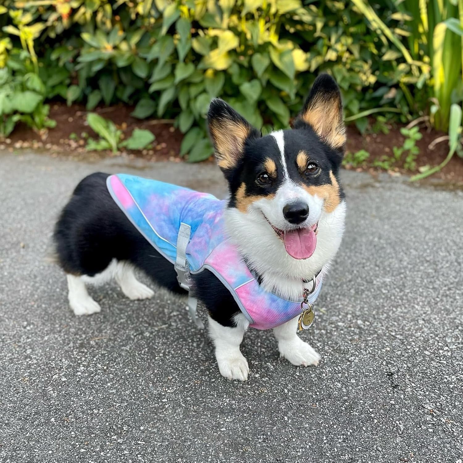 Lightweight tie-dye summer dog vest in polyester, product image 3
