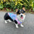 Lightweight tie-dye summer dog vest in polyester, product image 3