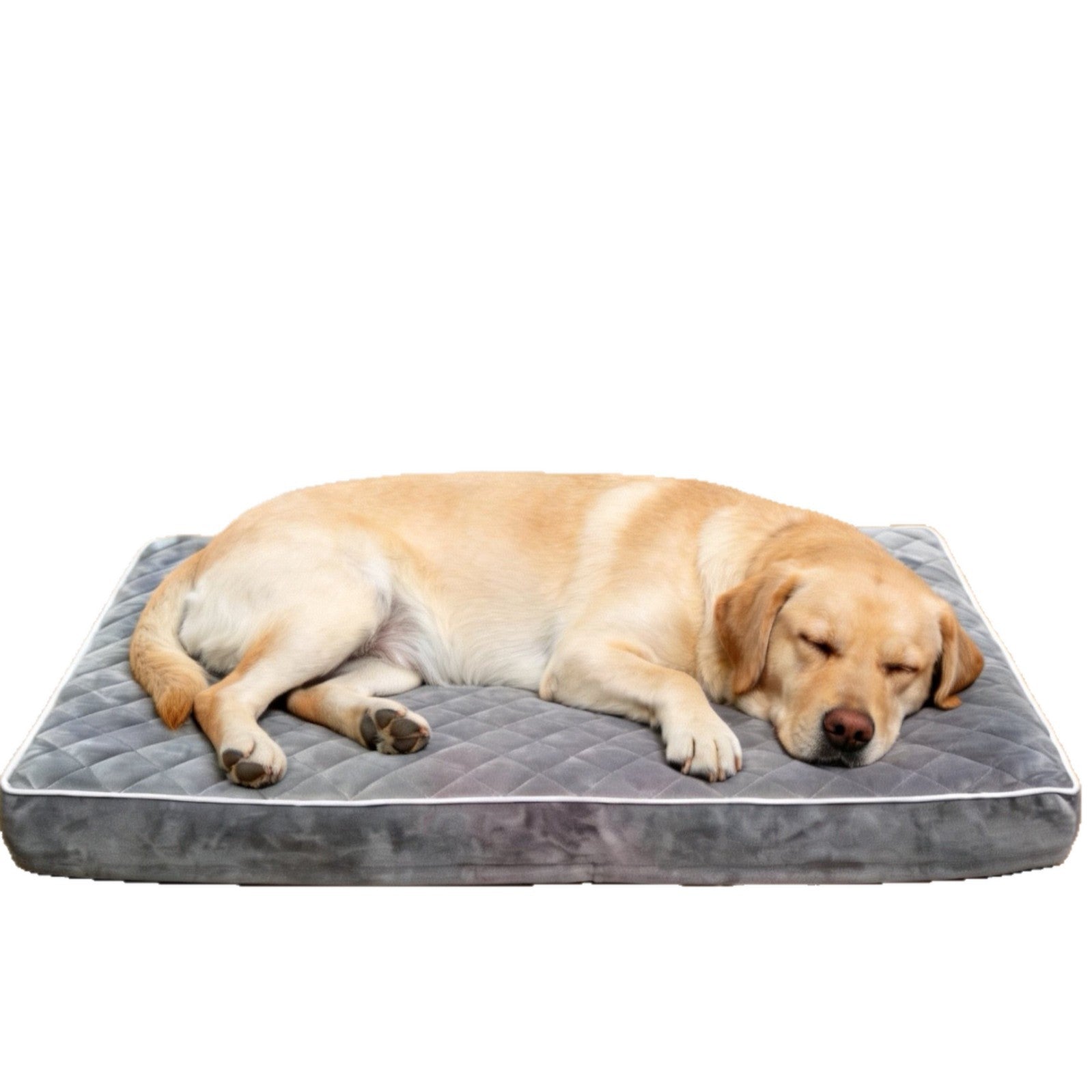 Waterproof washable padded pet mat in grey, photo 4 of 9