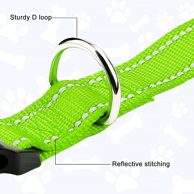 Adjustable buckle pet collar in bright colours for dogs, view 5