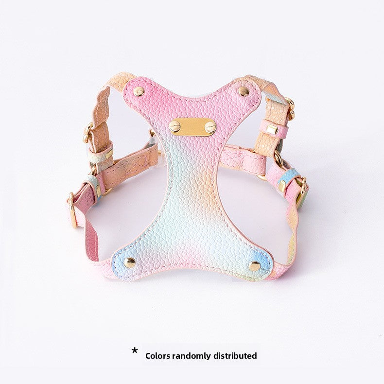 Colourful cat harness and lead set in purple and cloud blue