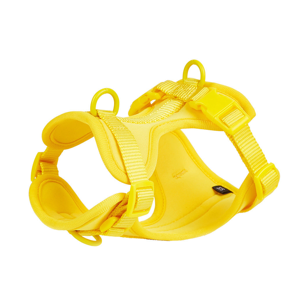 Waterproof PVC dog harness set in 24 colour options