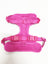 PVC dog harness lead and collar set in bright colours, main product photo