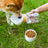 Portable water dispenser for puppies