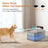 Automatic Sensor Pet Water Dispenser Stainless Steel