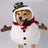 Selection of funny Halloween and Christmas costumes for pets
