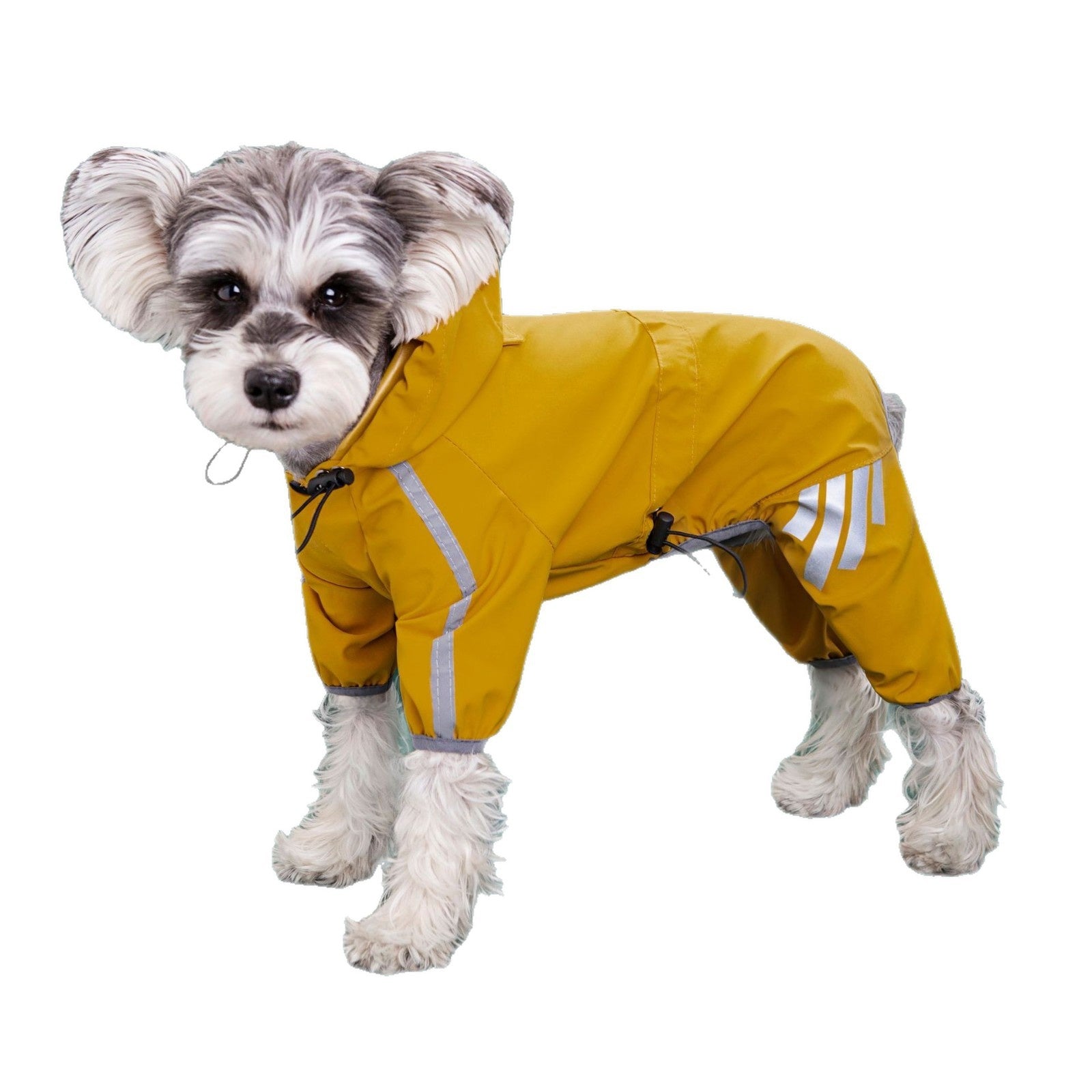 Small dog in a yellow hooded reflective four leg raincoat