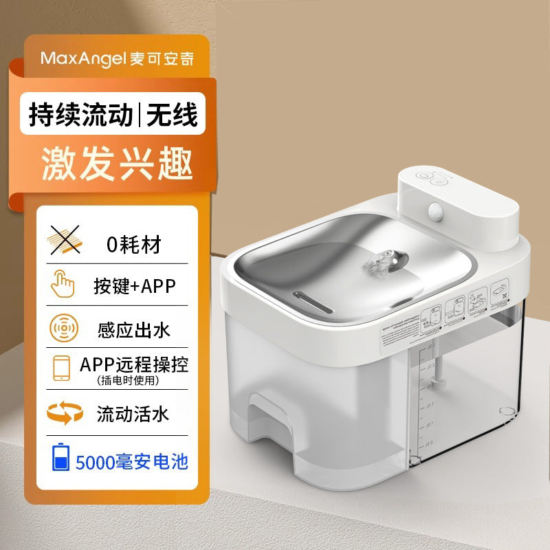 Constant Temperature Pet Water Dispenser