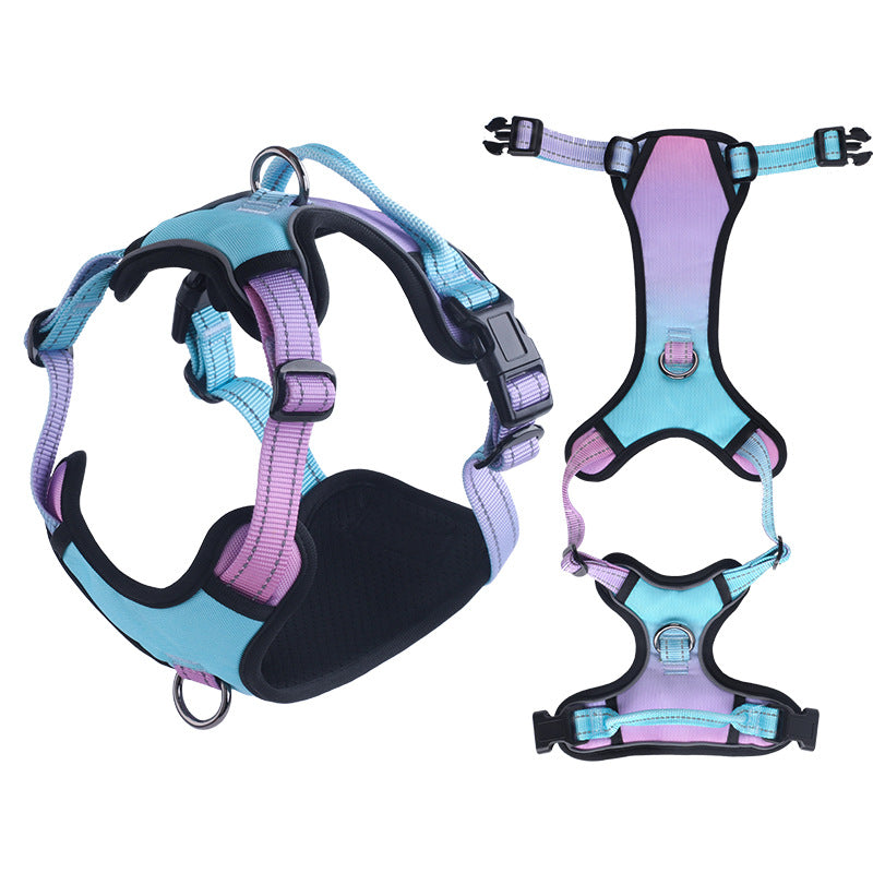Reflective gradient dog harness in cyan blue with matching lead