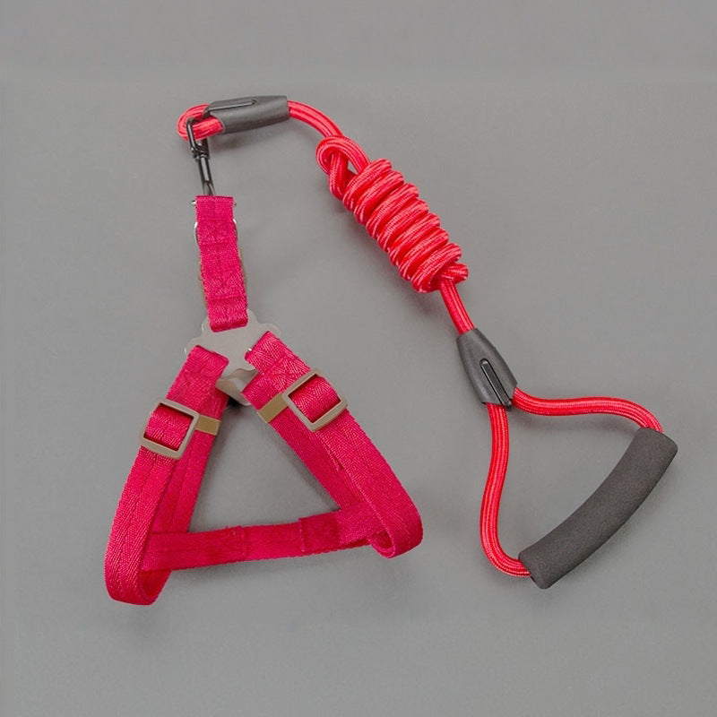 Padded nylon dog harness set with matching collar and lead in red