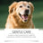 Pet Dental Cleaning Powder for Cats and Dogs, Gentle Tartar Care