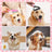 8-Piece Pet Grooming Kit with Slicker Brush, Combs and Nail Clipper