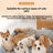 Pet collar mount for small action cameras, ideal for everyday use