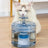 2.6L Transparent Flowing Water Pet Fountain with Smart Sensor and Circulating Filter