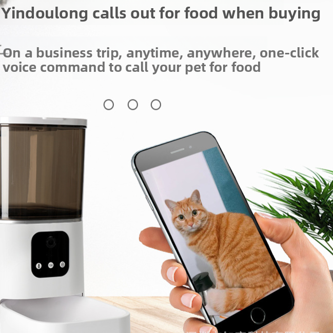 Automatic Pet Feeder