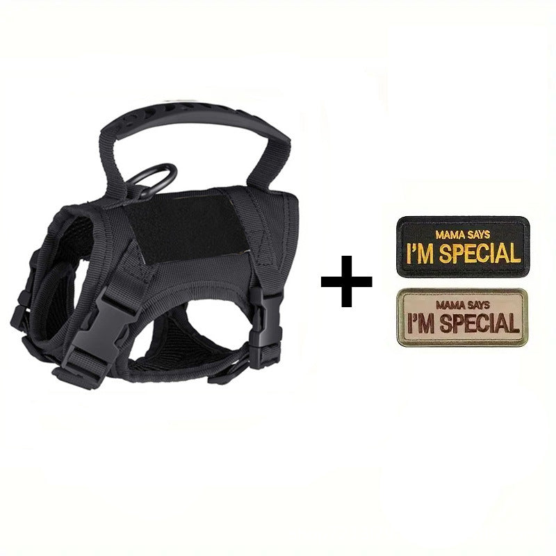 Tactical style vest harness in camouflage on a small dog