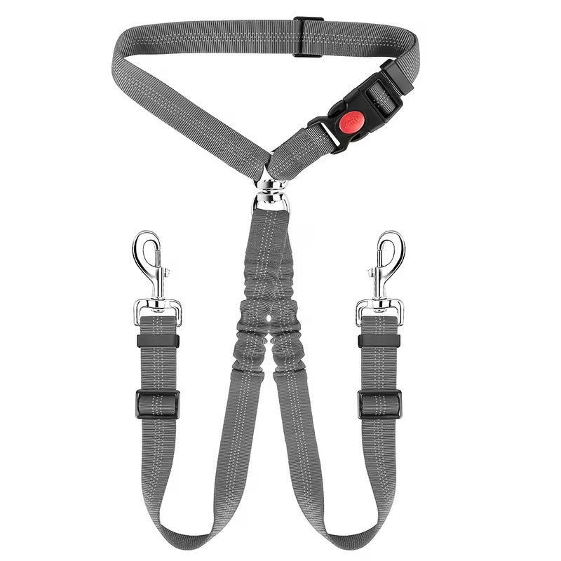 Elastic dog car safety lead in 7 colour options