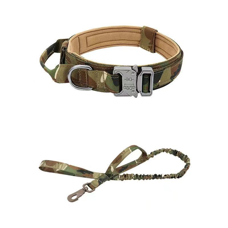 Tactical nylon dog collar with handle, ideal for everyday use
