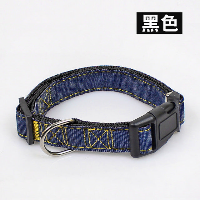 Matching harness, collar and lead set in blue for small pets