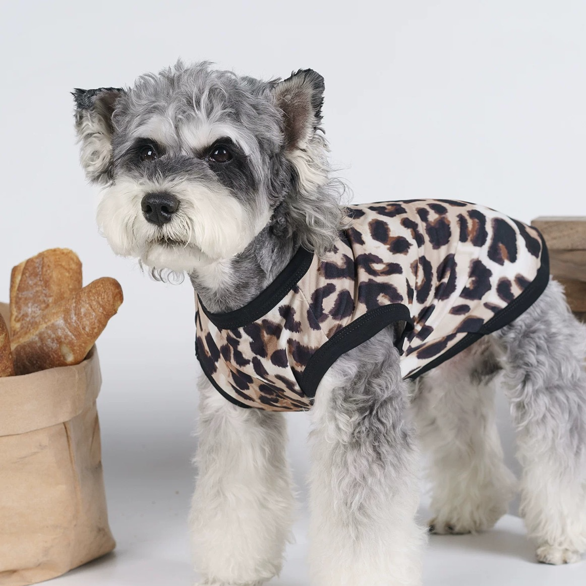 Leopard print summer vest for dogs and cats, in Leopard, image 8