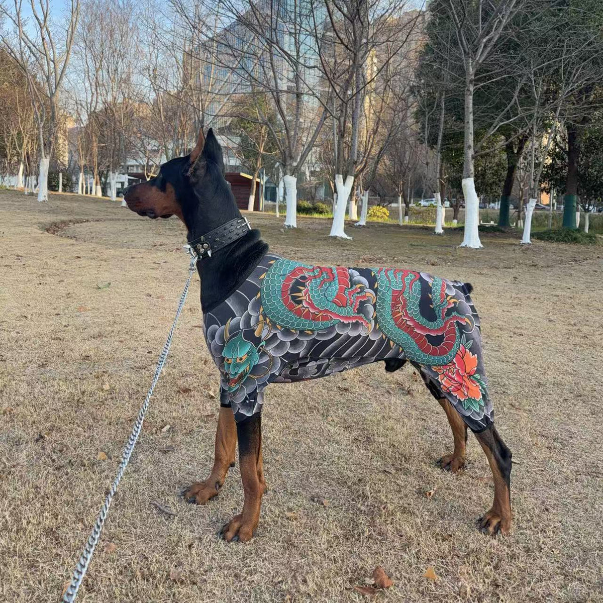 Four leg pet bodysuit for dogs and cats, sizes Small to 10XL, image 2