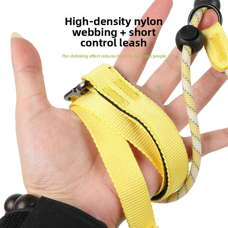 Reflective polyester rope dog slip lead and collar, product image 3