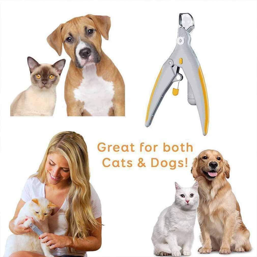 Stainless Steel Pet Grooming Scissors and Nail Clipper Set