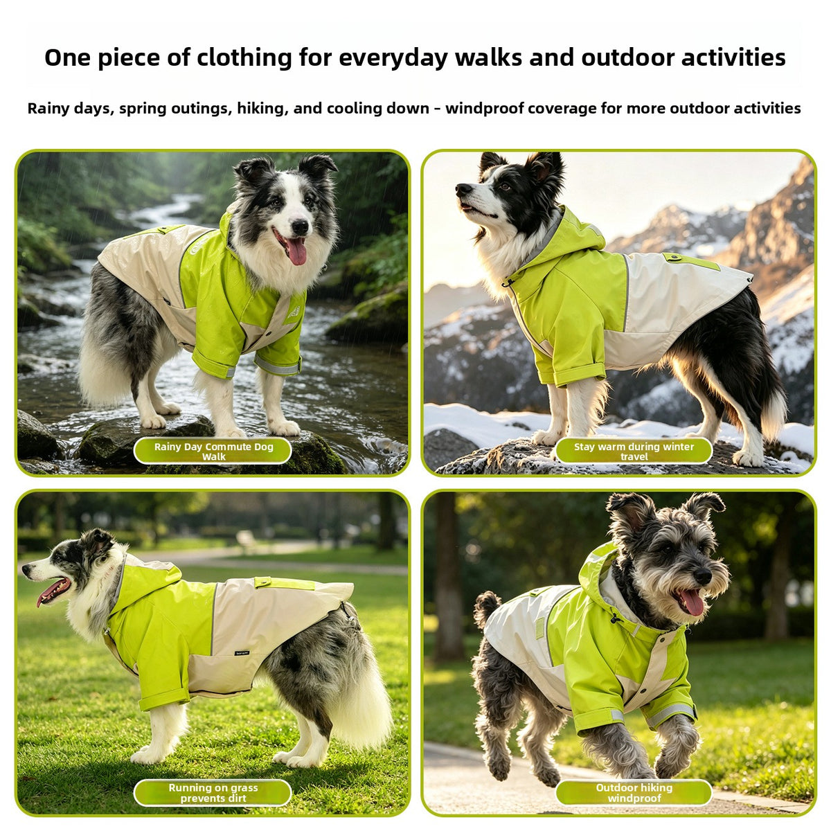 Dog wearing a misty grey blue hooded waterproof jacket