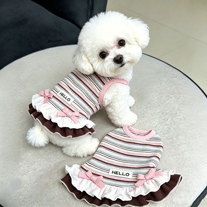 Rainbow striped dress for cats and small dogs