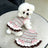 Rainbow striped dress for cats and small dogs