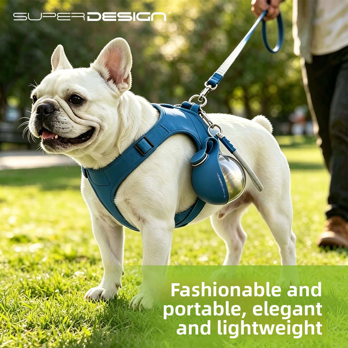 Portable 304 Stainless Steel Pet Water Bottle, 285ml Leakproof One-Touch Travel Bottle