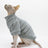 Hairless cat wearing a grey striped belly cover top