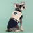 Knitted preppy V-neck pet jumper vest in Student Red, in use with a pet