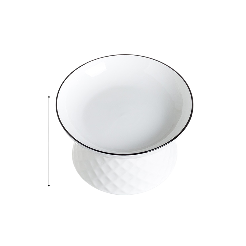 Raised Ceramic Cat Bowl, Elevated Feeding Dish