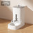 Automatic feeder and water dispenser