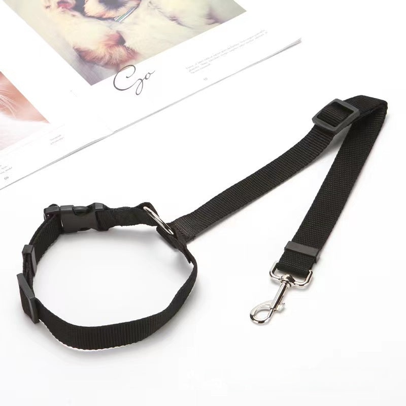 Colourful car safety leads for dogs and cats in nine colours