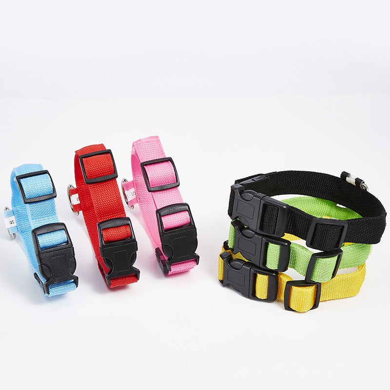 Light up dog collars in red, pink, orange and green