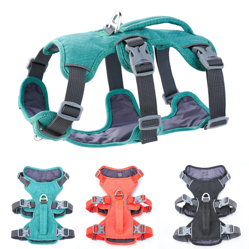 Reflective padded vest harness for small dogs, ideal for everyday use