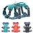 Reflective padded vest harness for small dogs, ideal for everyday use