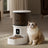 Automatic Pet Feeder