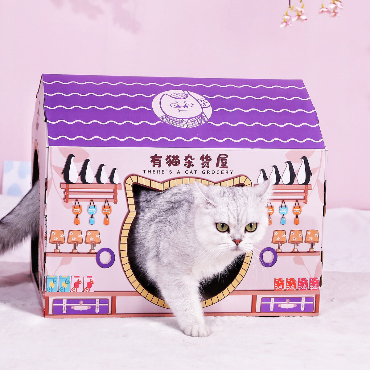 Cardboard cat scratcher house with a cafe themed design