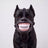 Monster Style Dog Muzzle, Breathable Anti-Bite Cover for Grooming