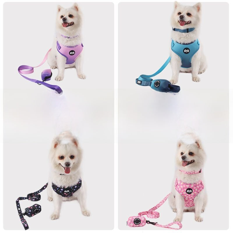 Patterned dog collar and lead set, ideal for everyday use